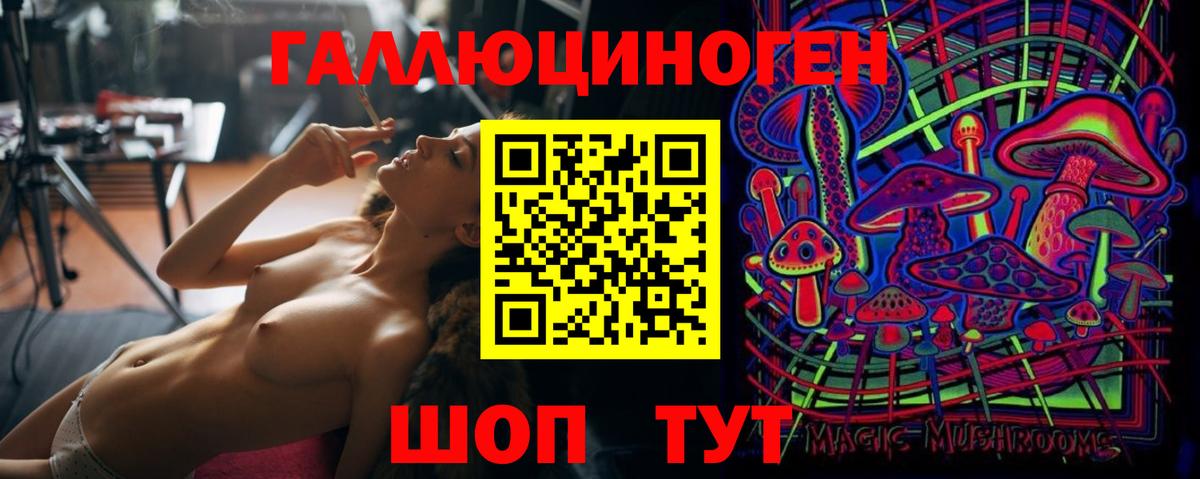 Клин  Псилоцибиновые грибы мицелий  Вход с VPN 
